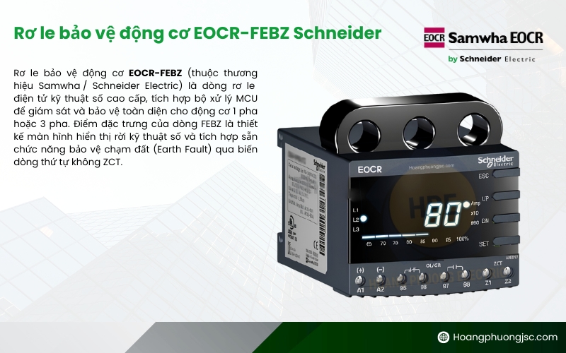 Rơ le bảo vệ động cơ EOCR-FEBZ Schneider