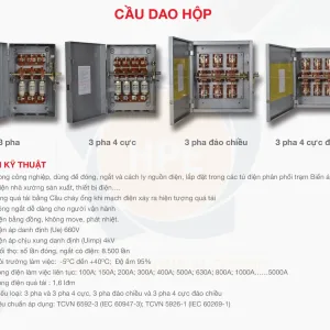 Cầu dao hộp Vinakip