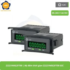 Z2221N0G2FT00 Bộ đếm thời gian Z2221N0G2FT00 GIC