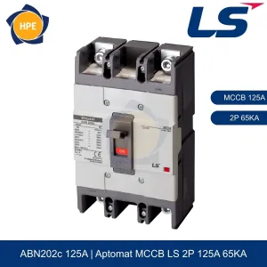Aptomat MCCB ABN202c 2P 125A 65kA