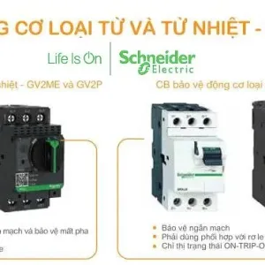 CB bảo vệ động cơ Schneider