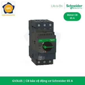 CB bảo vệ động cơ 65A Schneider