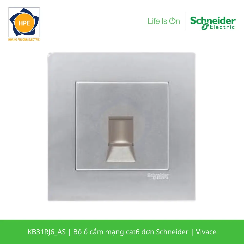 KB31RJ6_AS-schneider