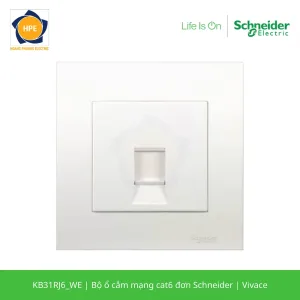 KB31RJ6_WE-schneider