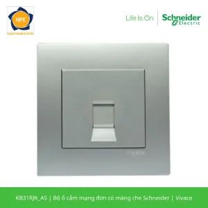 KB31RJK_AS-schneider