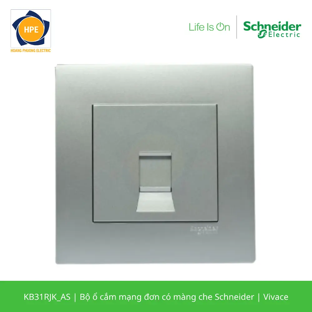 KB31RJK_AS-schneider