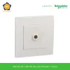 KB31TB_WE-schneider
