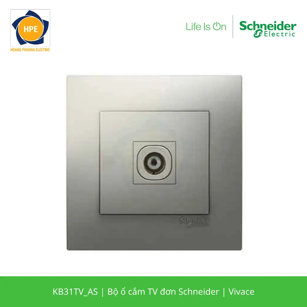 KB31TV_AS-schneider