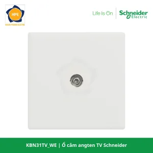 KBN31TV_WE-schneider