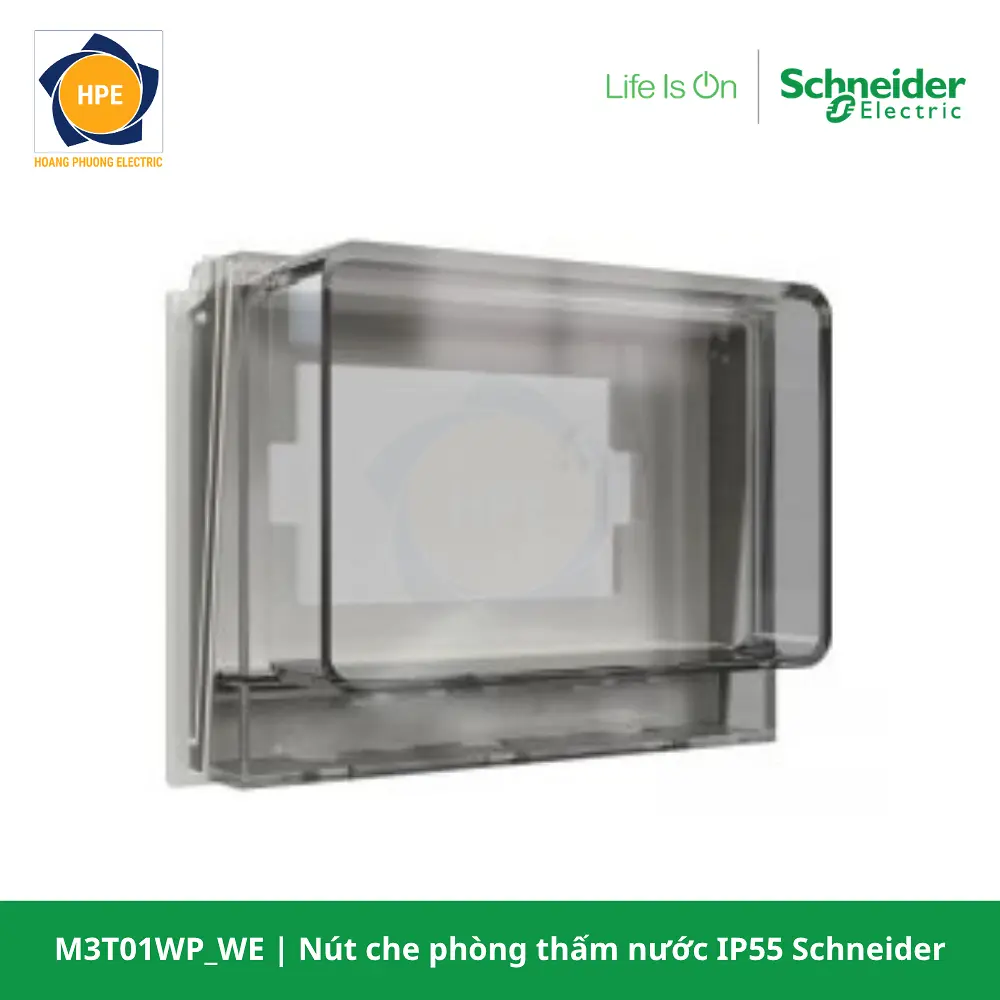M3T01WP_WE-schneider