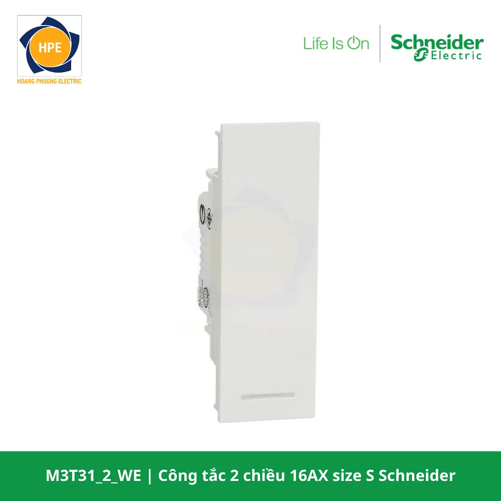 M3T31_2_WE-schneider