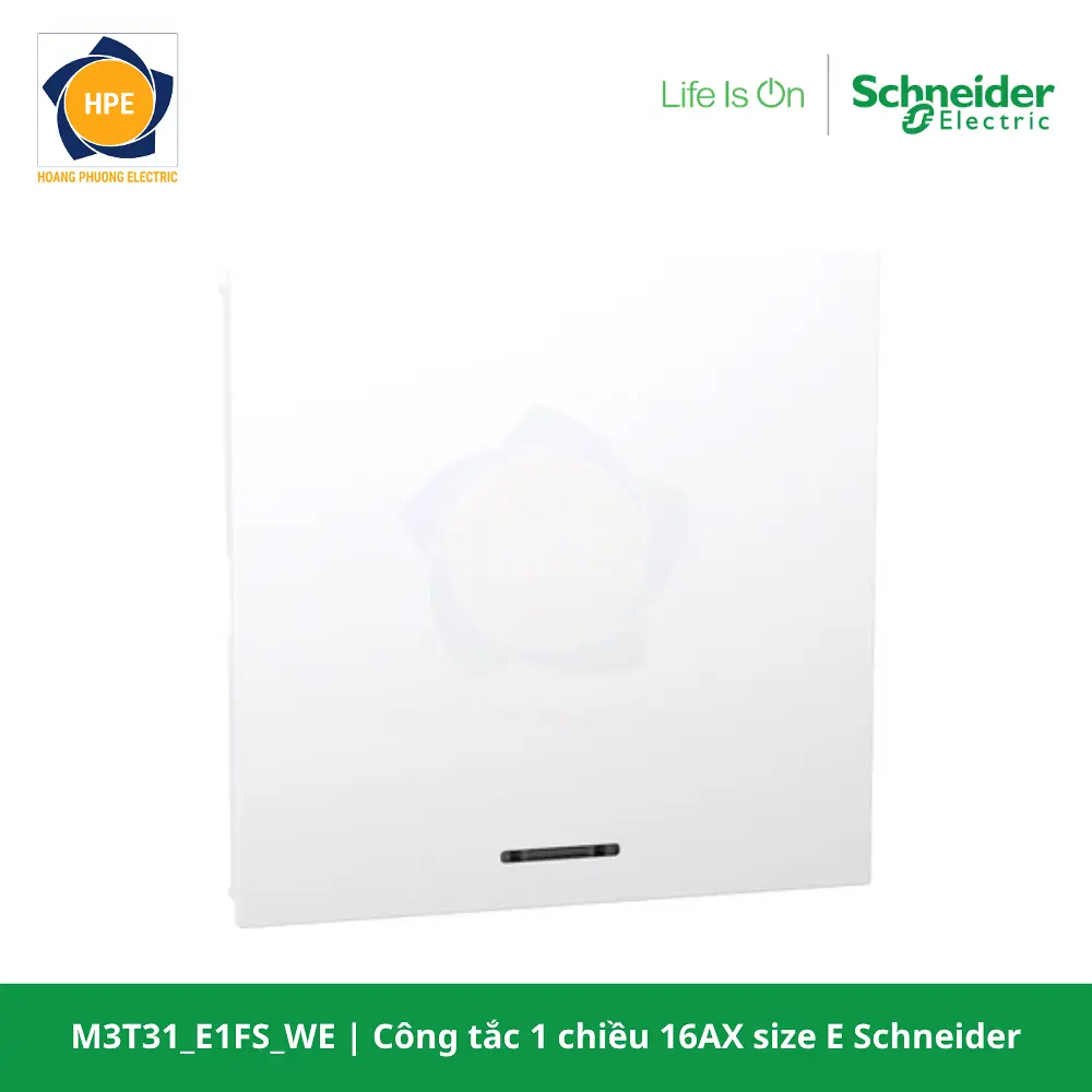 M3T31_E1FS_WE-schneider