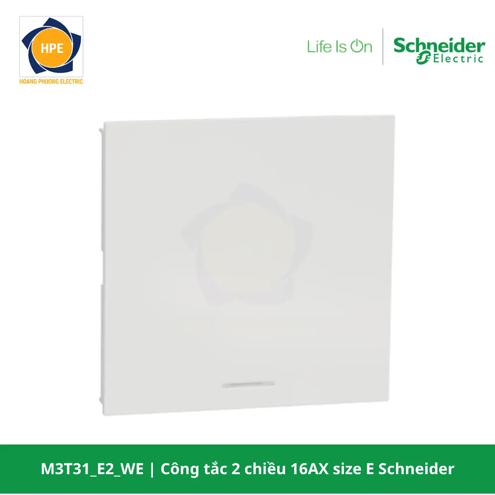 M3T31_E2_WE-schneider