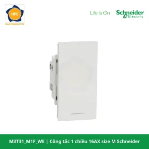 M3T31_M1F_WE-schneider