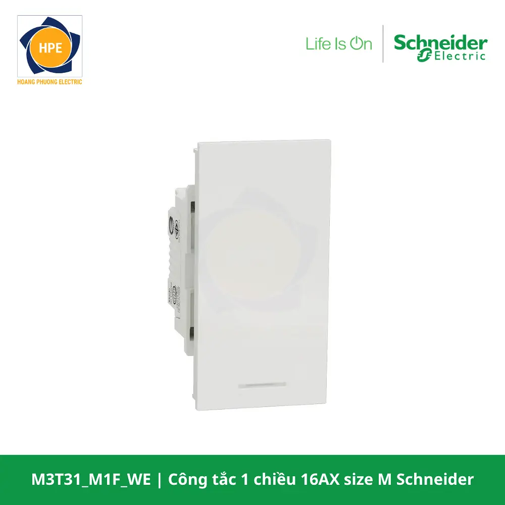M3T31_M1F_WE-schneider