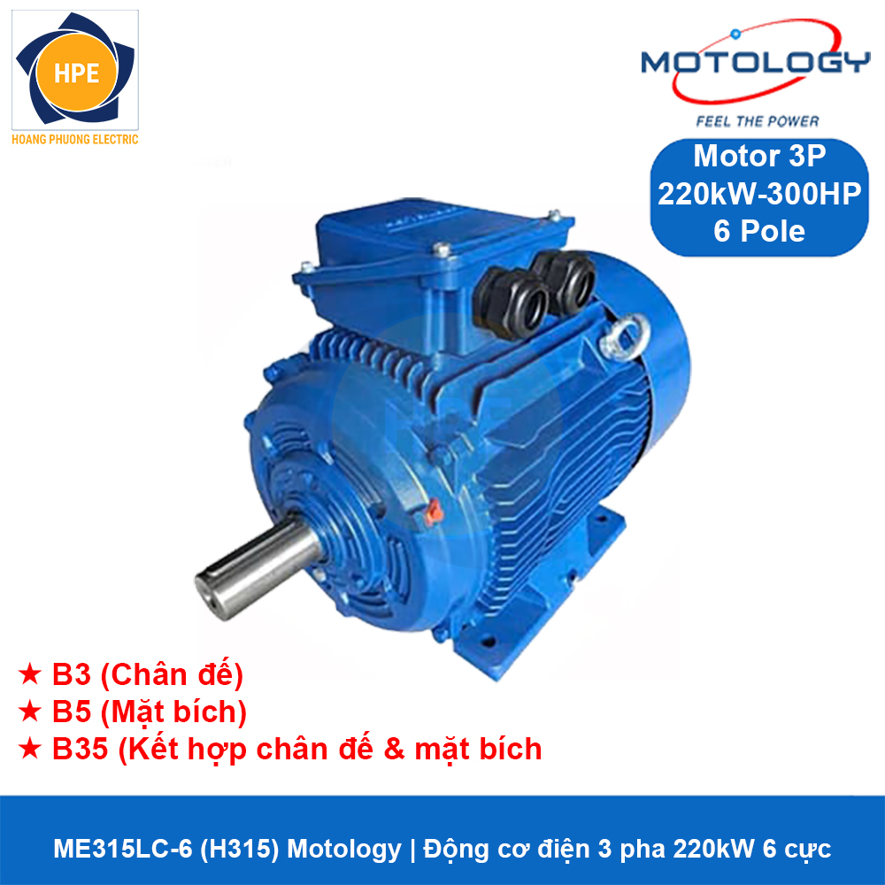 ME315LC-6 (H315) Motology - Động cơ điện 3 pha 220kW 6 cực