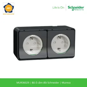 MUR36029-schneider
