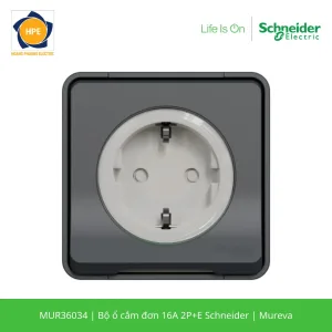 MUR36034-schneider