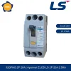 Aptomat chống giật ELCB 32GRhS 2P 20A 2.5kA