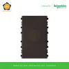 8430LP_BZ_G19-schneider
