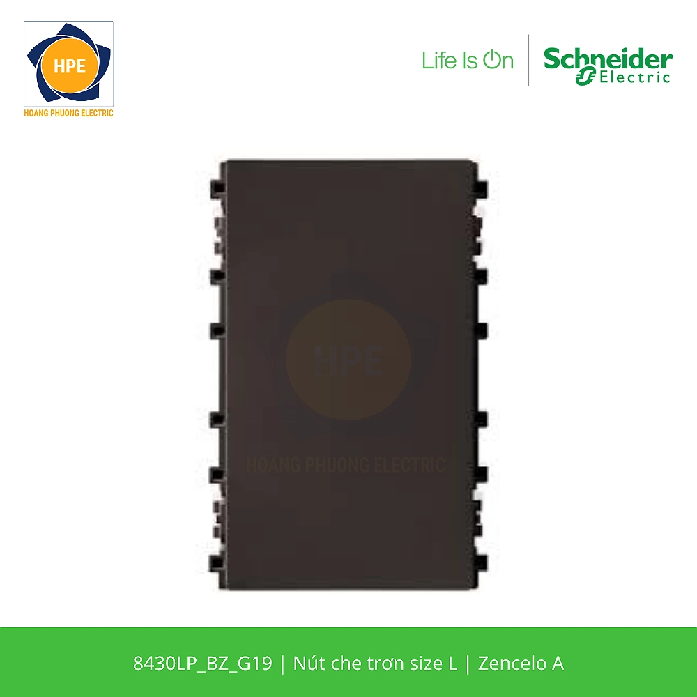 8430LP_BZ_G19-schneider