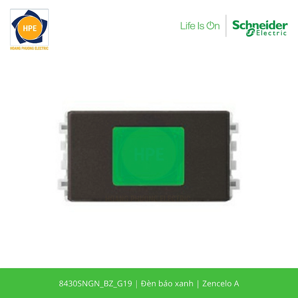 8430SNGN_BZ_G19-schneider
