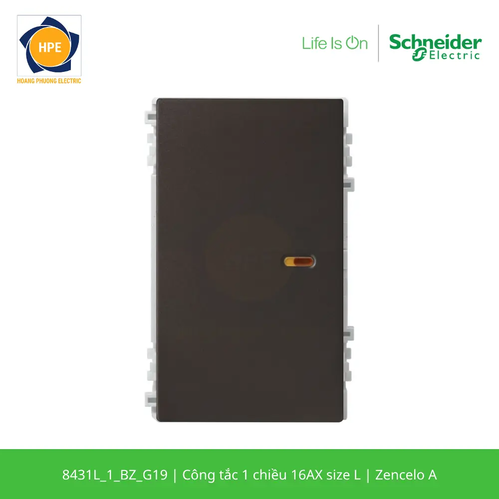 8431L_1_BZ_G19-schneider