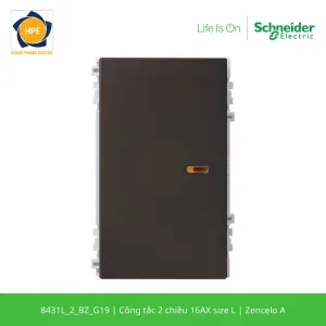 8431L_2_BZ_G19-schneider