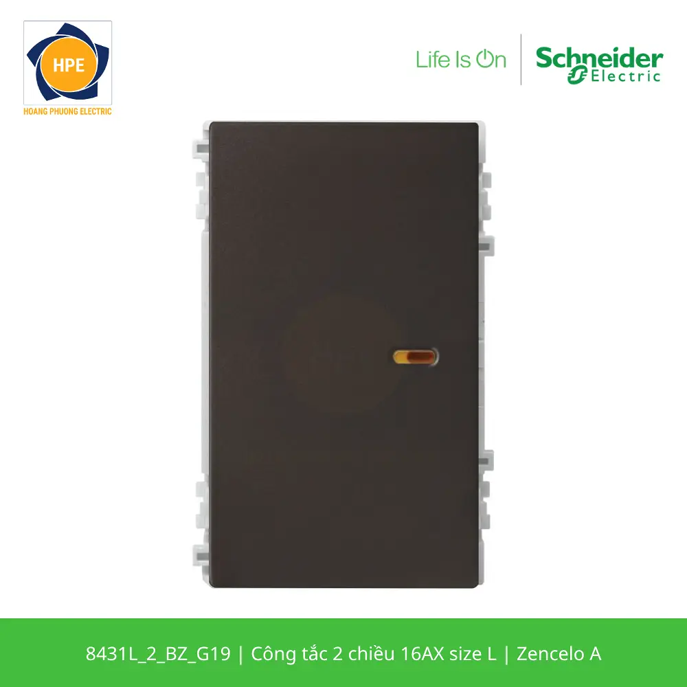 8431L_2_BZ_G19-schneider