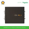 8431MD20_BZ_G19-schneider