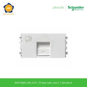 8431SRJ6V_WE_G19-schneider