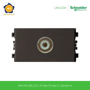 8431STV_BZ_G19-schneider