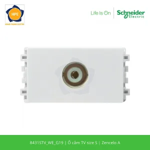 8431STV_WE_G19-schneider