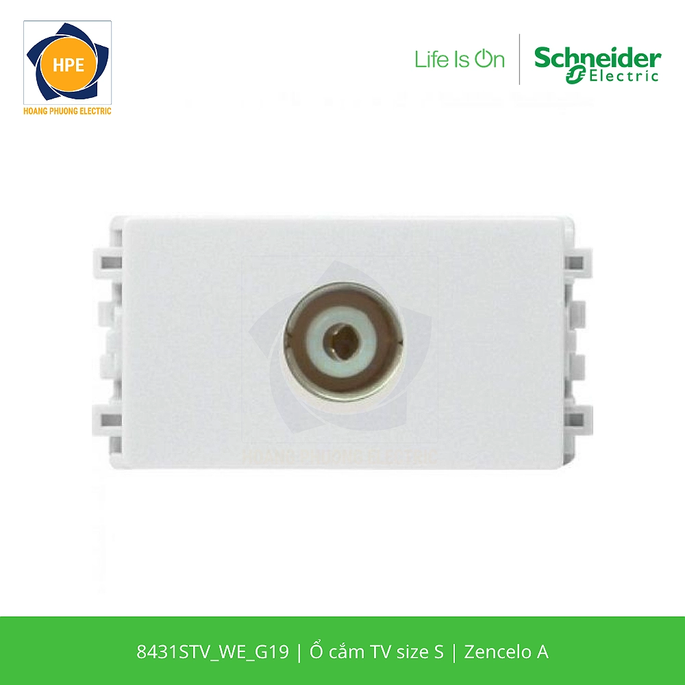 8431STV_WE_G19-schneider