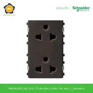 84426LUES2_BZ_G19-schneider