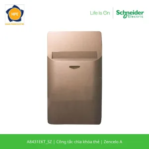 A8431EKT_SZ-schneider