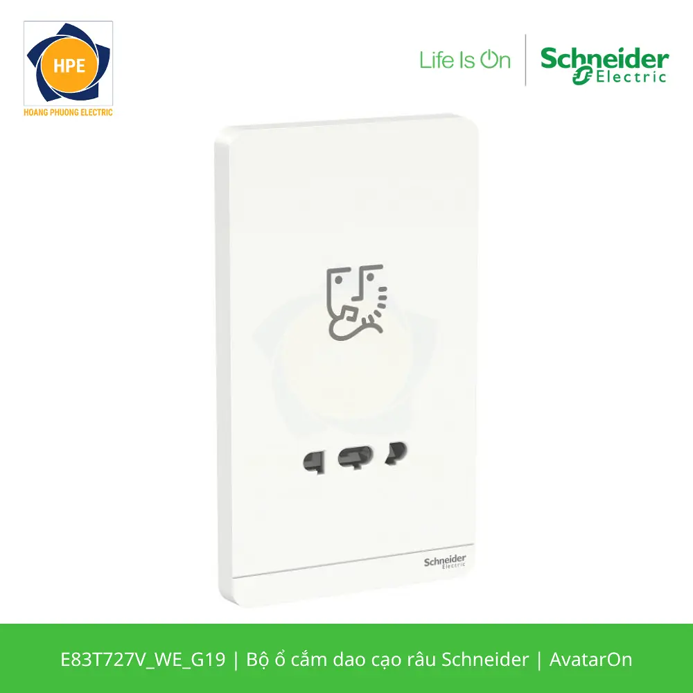 E83T727V_WE_G19-schneider