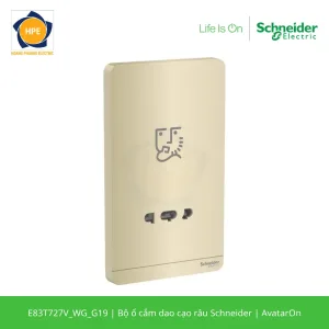 E83T727V_WG_G19-schneider