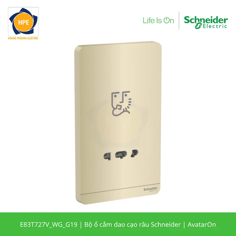 E83T727V_WG_G19-schneider