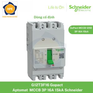 G12E3F16 Schneider