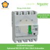 G12E4A16 Schneider