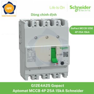G12E4A25 Schneider