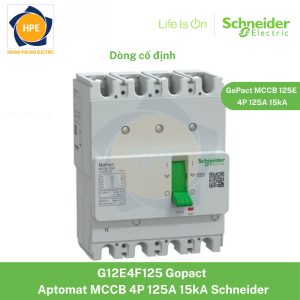 G12E4F125 Schneider