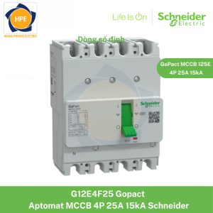 G12E4F25 Schneider
