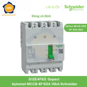 G12E4F63 Schneider