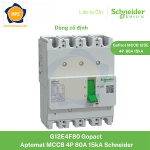 G12E4F80 Schneider