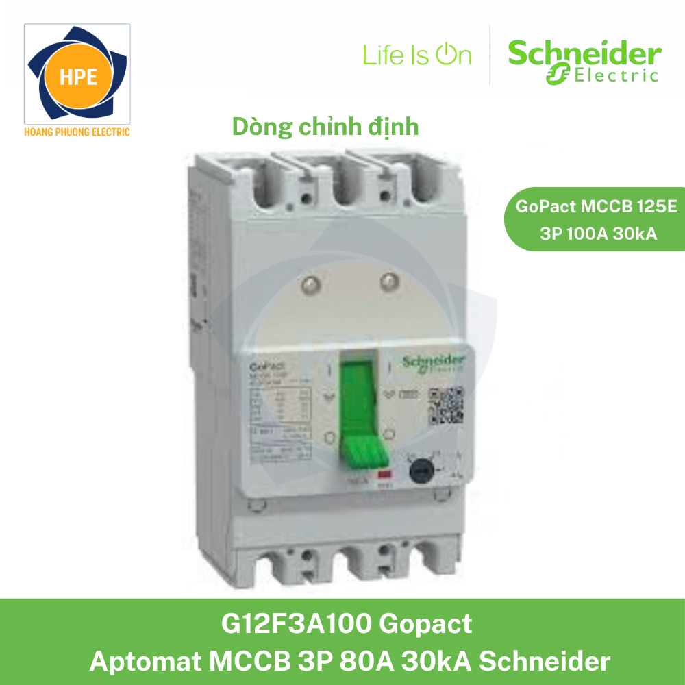 G12F3A100 Schneider
