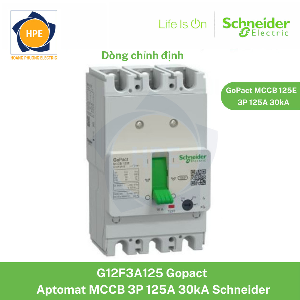 G12F3A125 Schneider