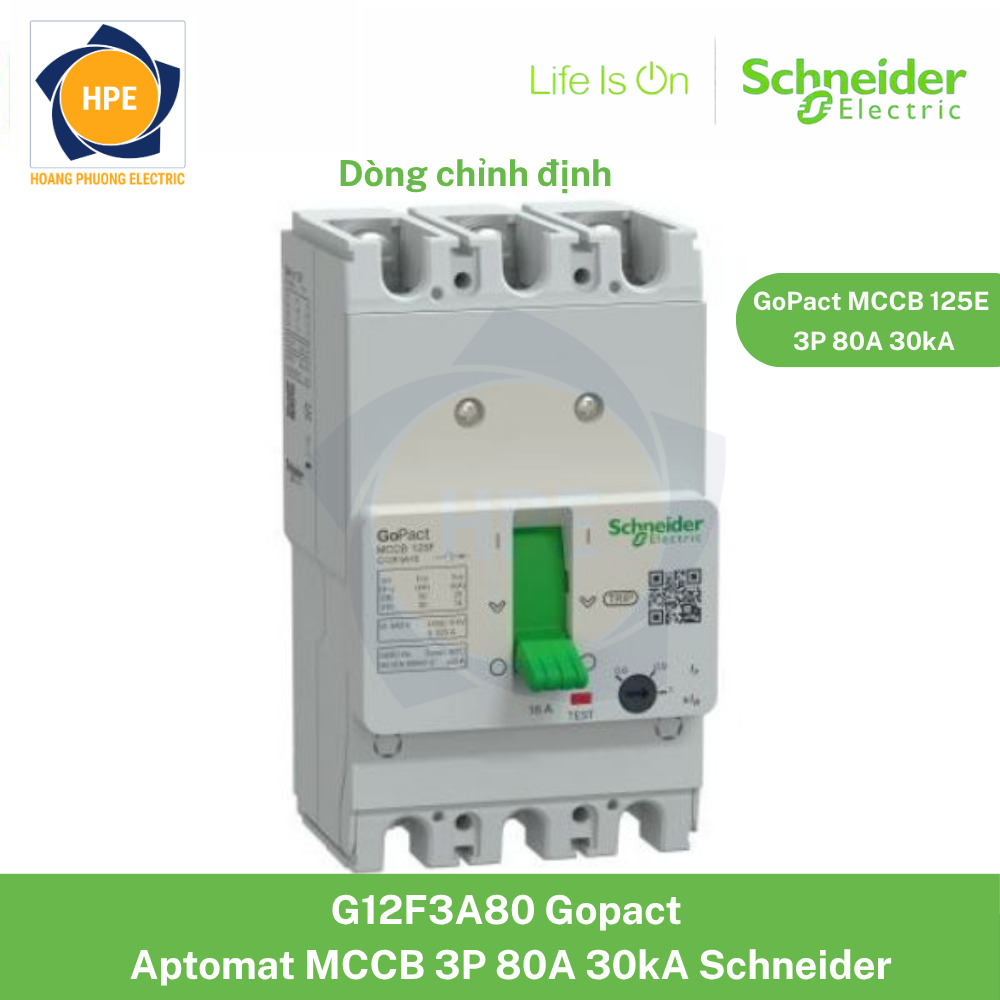 G12F3A80 Schneider