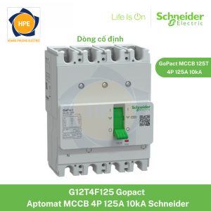 G12T4F125 Schneider